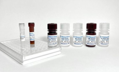 Gm 生物技術(shù)研究與開發(fā)的現(xiàn)狀與前景