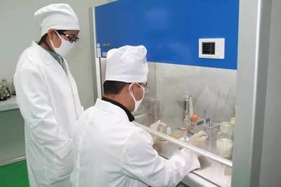 發酵杜仲 大禹生物專屬技術引領杜仲活性生物技術研究與開發